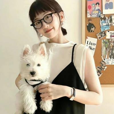 蒂科与鲨鱼